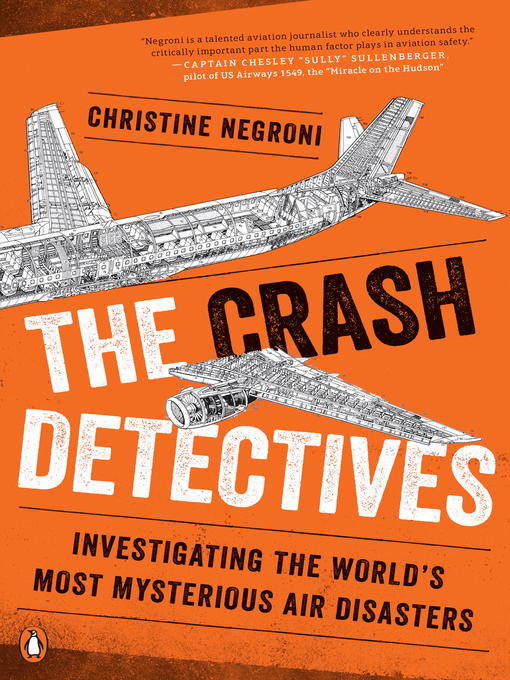 Cover image for The Crash Detectives